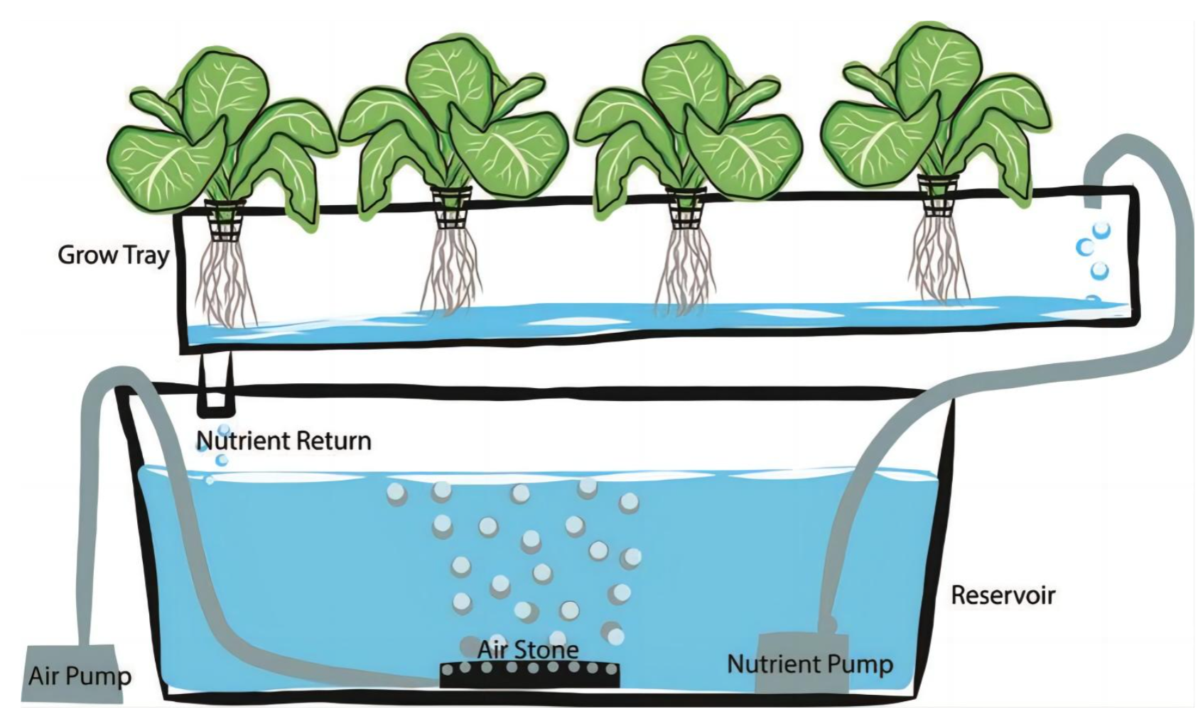 Hydroponic Culture Pump Solution