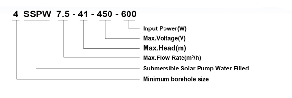 DC solar well pump with water filled motor