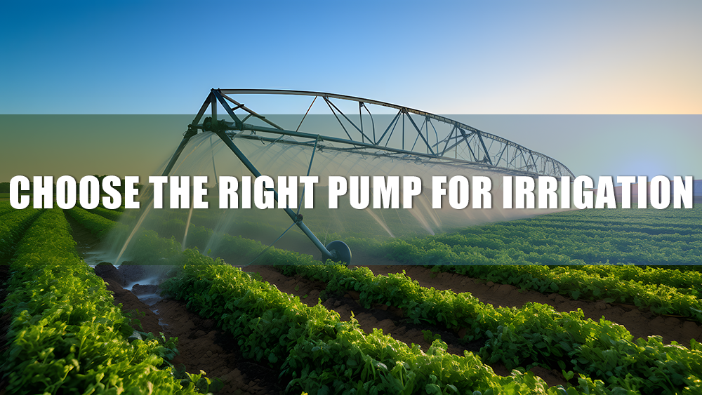 How to Choose the Best Submersible Pump for Irrigation Systems