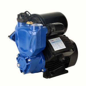 Electric Self-Priming Booster Pump — SJLM